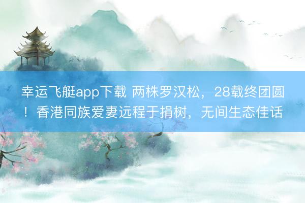 幸运飞艇app下载 两株罗汉松，28载终团圆！香港同族爱妻远程于捐树，无间生态佳话
