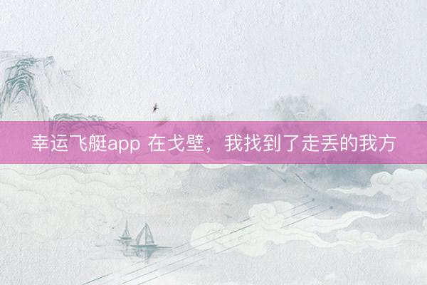 幸运飞艇app 在戈壁，我找到了走丢的我方