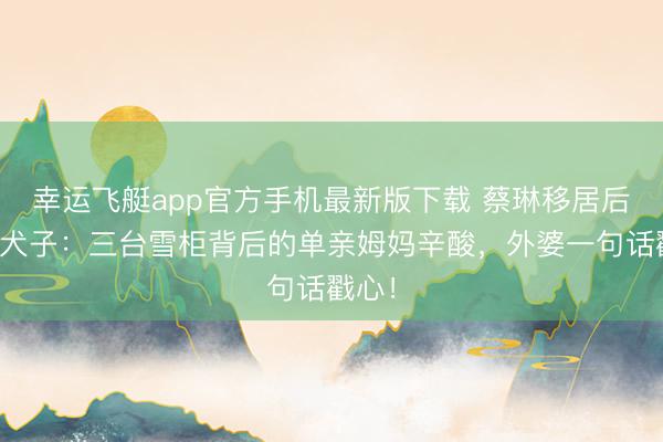 幸运飞艇app官方手机最新版下载 蔡琳移居后独带犬子：三台雪柜背后的单亲姆妈辛酸，外婆一句话戳心！